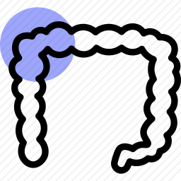 <em>黎加</em>