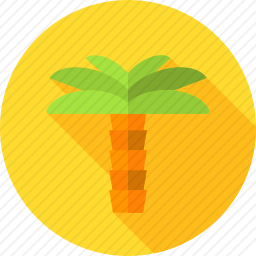 <em>棕榈树</em>