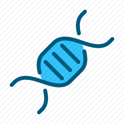DNA