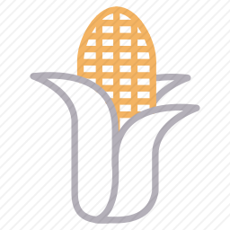 <em>玉米</em>