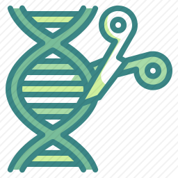 DNA