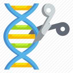 DNA