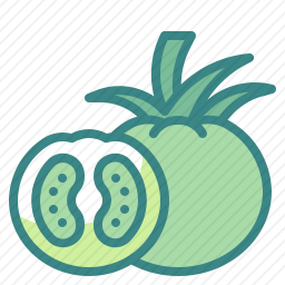 <em>番茄</em>