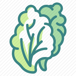 <em>蔬菜</em>