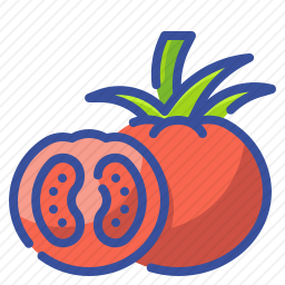 <em>番茄</em>