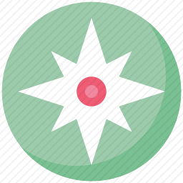 <em>指南针</em>
