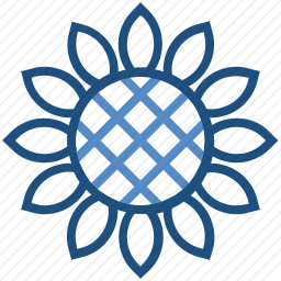 <em>向日葵</em>