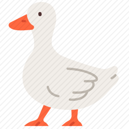 鸭子
