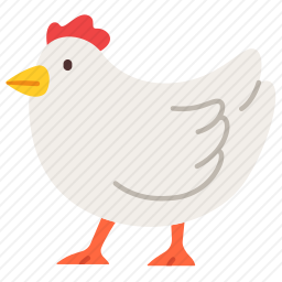 鸡