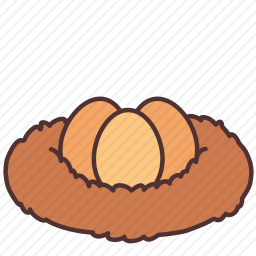 鸡蛋