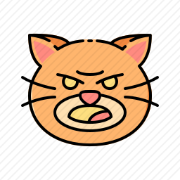 猫