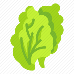 生菜
