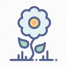<em>花</em>