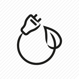 <em>插头</em>