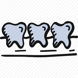<em>牙齿</em>