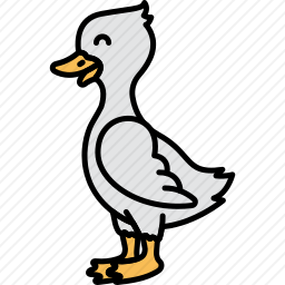 鸭子