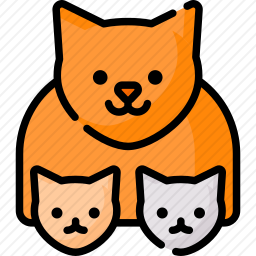 猫咪