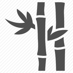 竹子