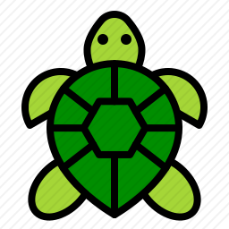 <em>乌龟</em>