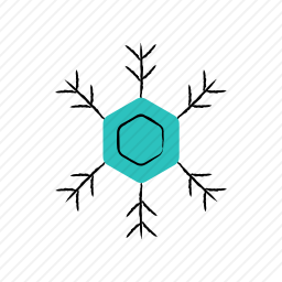 <em>雪花</em>