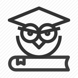 <em>猫头鹰</em>
