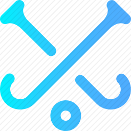 <em>曲棍球</em>