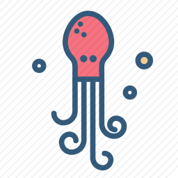 <em>章鱼</em>