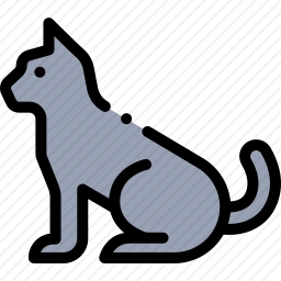 猫