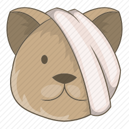 <em>猫</em>