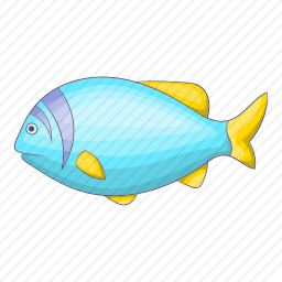 <em>鱼</em>