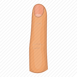 <em>手指</em>