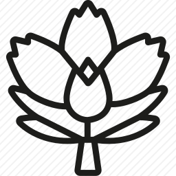<em>花束</em>