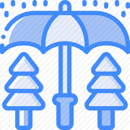雨