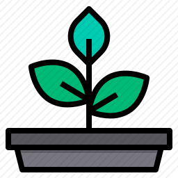 <em>植物</em>