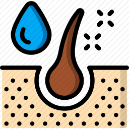 <em>真皮</em>