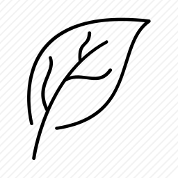 树叶
