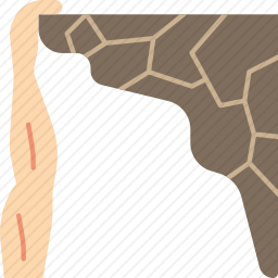 <em>攀岩</em>