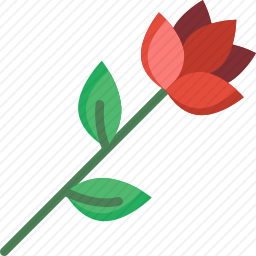 <em>玫瑰</em>