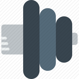 <em>哑铃</em>