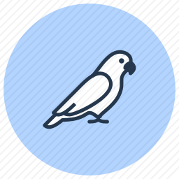 <em>鹦鹉</em>