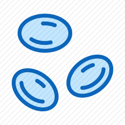 <em>细胞</em>
