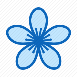 <em>樱花</em>