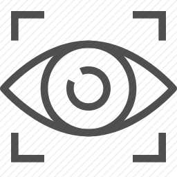 <em>眼睛</em>