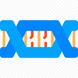 DNA