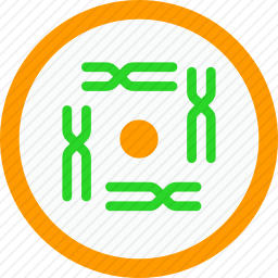 基因重组
