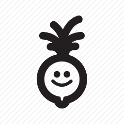 萝卜