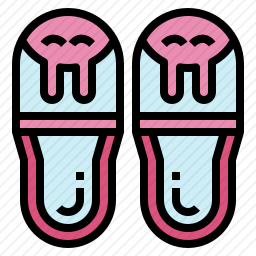 <em>拖鞋</em>