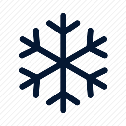 <em>雪花</em>