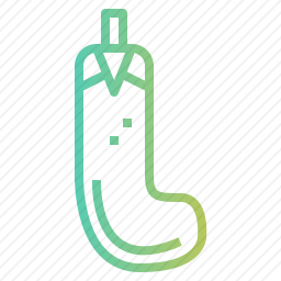<em>茄子</em>