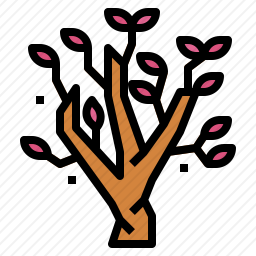 <em>玉兰</em>